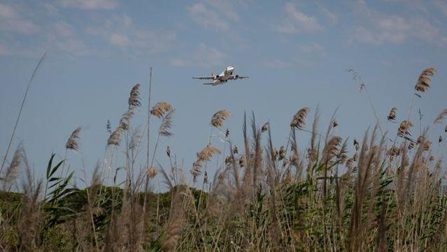 L'espai natural de la Ricarda, que quedaria afectat per l'ampliació de l'aeroport (David Zorrakino / Europa Press)
