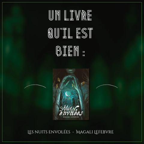 Un livre qu'il est bien : 

Les nuits envolées, Magali Lefebvre 

(Couverture du roman dans  les tons bleu vert)