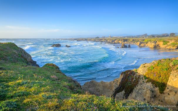 A color seascape photograph showing a rugged coastline. In the foreground, low-growing plants and a few small pink flowers cover the ground. The view opens to a sandy cove with waves rolling in towards it. The sky is clear.