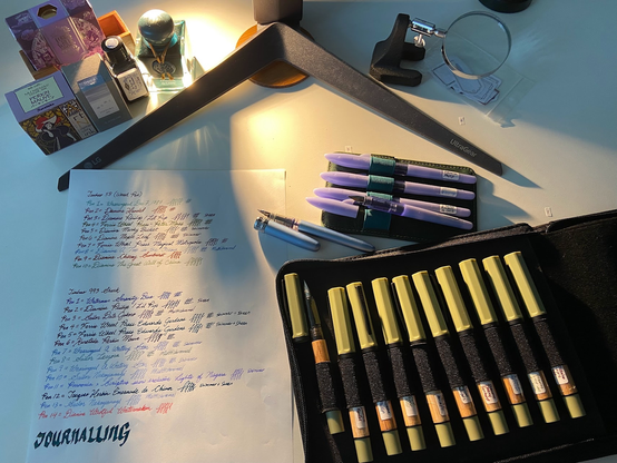 Starter fountain pens inked with a variety of Tanya's favourite writing inks (some rare inks!). Available to try and purchase by cash and e-transfer.

The baby blue pen's mine, sorry.