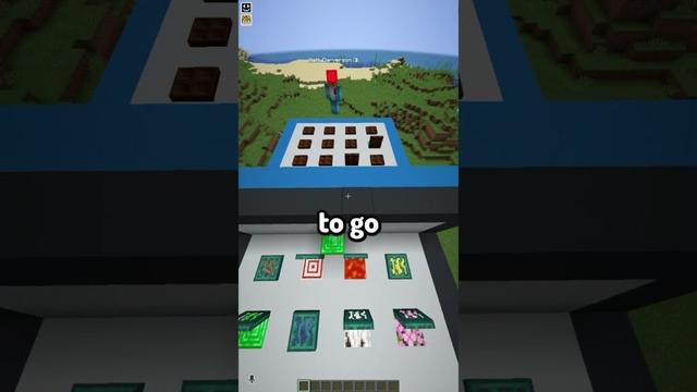 Minecraft Guess Who 47