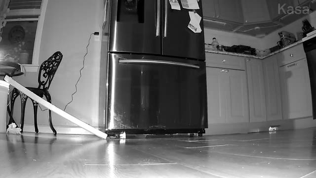 View from  home camera with lights of (night vision) set on the kitchen floor, surveying span of kitchen floor near lower cabinets and fridge. The wooden 2x4 plank of trap is visible on the left but the bucket is out of view