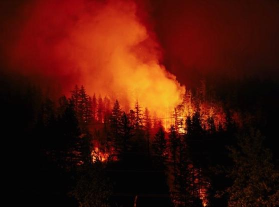 A night image of wildfire flames burning in a forest area.