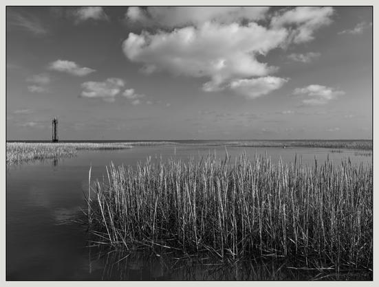 Eine Schwarz-Weiß-Landschaft mit hohem Gras am Wattenmeer bei Flut mit ruhigem Wasser, einem entfernten Leuchtturm und einem locker bewölkten Himmel.

A black and white landscape with tall grass on the Wadden Sea at high tide with calm water, a distant lighthouse and a loosely cloudy sky.
