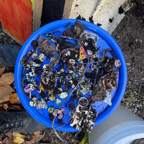 A plastic bucket lid, covered in fruit stickers and plastic contaminants recovered from compost.