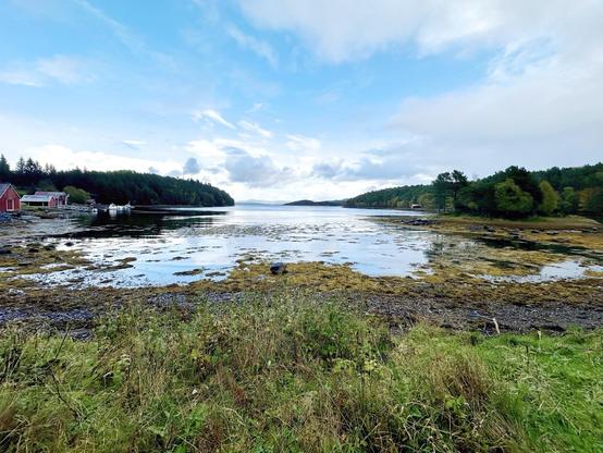 Wide landscape of a serene coastal area featuring a calm lake surrounded by forested hills under a partly cloudy sky. In the foreground, a grassy shore transitions to a muddy tidal flat scattered with seaweed and small rocks. On the left, a red wooden building and a dock with a few boats are visible near the water's edge.