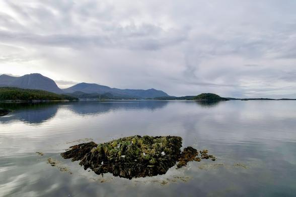 Overcast sky reflecting on a calm lake with a foreground of a rocky outcrop covered in green seaweed. Distant mountains and small islands are visible across the lake, creating a serene landscape.