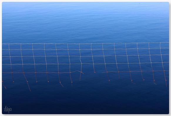 Ein Netz hängt in einem See, die Farbe wechselt von grau zu rostrot. Das Wasser ist blau, oben hell- unten dunkelblau, leichte Bewegung kräuselt die Oberfläche. 

A net hangs in a lake, the colour changes from grey to rust-red. The water is blue, light blue at the top and dark blue at the bottom, slight movement ripples the surface.