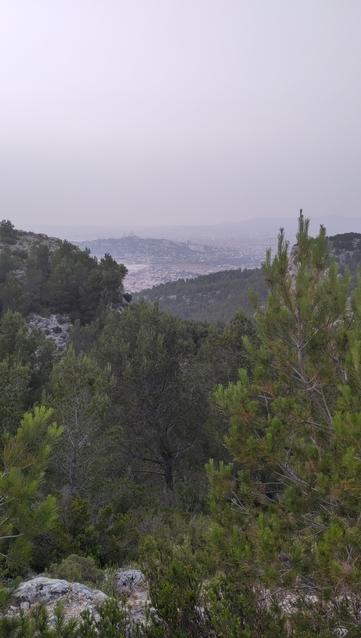 Vue vers la ville depuis le col de la Selle.

Au premier plan on voit la végétation de pins, en second plan la ville avec le quartier de bonneveine et la roue sur le bord de mer, puis encore plus en arrière la coline de la bonne mère.

Plus on avance dans les plans, plus c'est brumeux et peu distinct. La chaleur du jour ne semble pas donner une qualité de l'air très bonne.