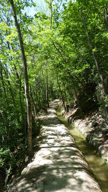 On the Waalweg from Kastelbell to Latsch; Vinschgau Valley (Venosta Valley), South Tyrol, Italy