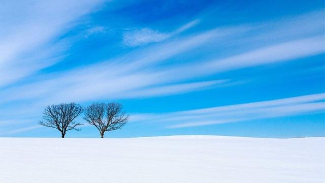 Hokkaidō Retains Title of Japan’s Most Attractive Prefecture for Sixteenth Straight Year