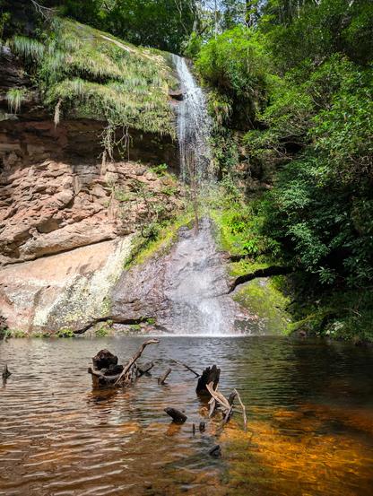 Der Betrachter steht am Rand eines Beckens, das mit klarem, braunen Wasser gefüllt ist. Aus dem Wasser ragen abgestorbene Äste. Gegenüber befindet sich eine Felswand, von der ein kleiner Wasserfall herabstürzt. Oberhalb der Felswand und rechts im Bild dichte Vegetation.