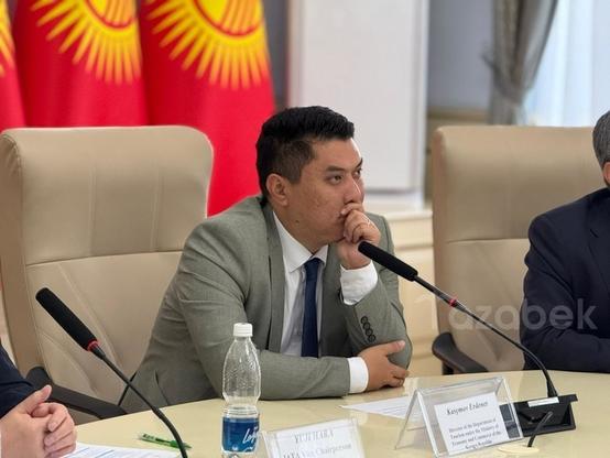 Kyrgyzstan aims to strengthen tourism cooperation with Japan - Head of Tourism Department