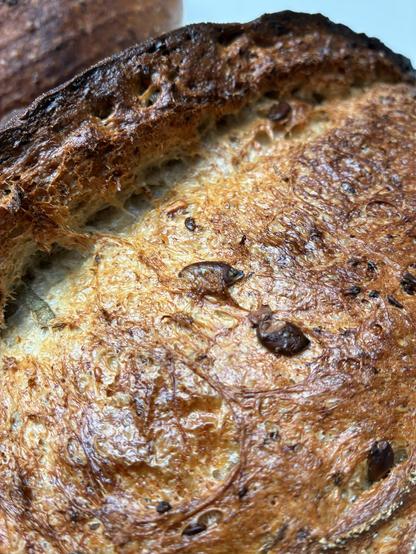 Seeded sourdough showing texture and gluten strands.