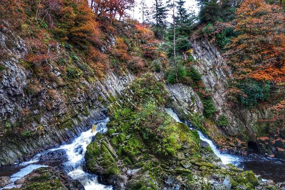 A dynamic view of Conwy Falls, showing a multi-tiered waterfall cascading down a rocky, forested gorge. The water tumbles over dark, stratified rock formations that are heavily covered in vibrant green moss. The surrounding steep slopes are densely forested, with trees displaying a mix of autumnal colours, ranging from deep oranges and reds to darker greens, indicating a blend of deciduous and evergreen trees. The water in the falls appears white and foamy from its rapid descent, contrasting with the dark pools at the base. The overall impression is one of rugged natural beauty and powerful water flow.