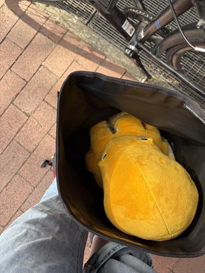 Blick von oben in meinen Rucksack. Darin ist der große gelbe Kopf von einem Plüsch-Oktopus zu sehen.
Im Hintergrund sind mein Fahrrad, meine Beine und die Straße zu sehen.