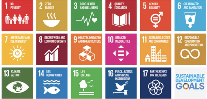 Image of 17 Sustainable Development Goals.