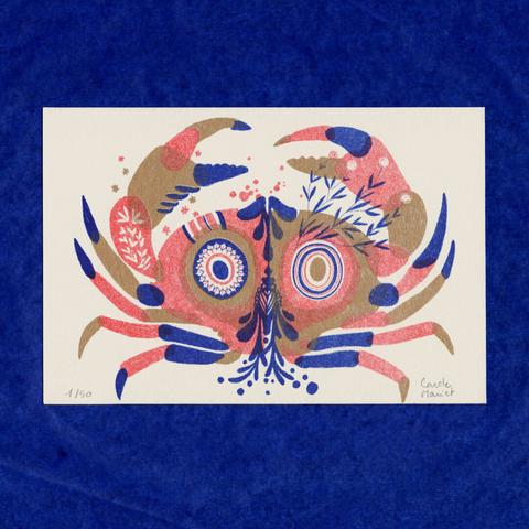 illustration d'un crabe vu de dessus et stylisé