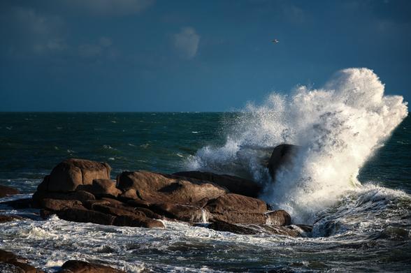 Eine grosse Welle, die sich an einem Fels an der Küste der Bretagne bricht und hoch aufspritzt.