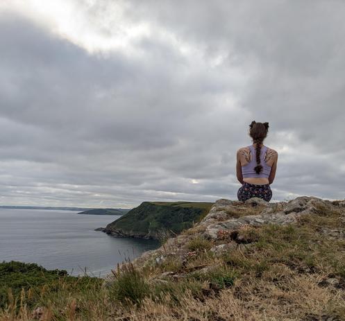 photo of a catgirl with it's back to the camera sitting on a rocky outcrop overlooking the coast.  there are various tufts of grass and other small plants and the sky is covered by heavy grey clouds.