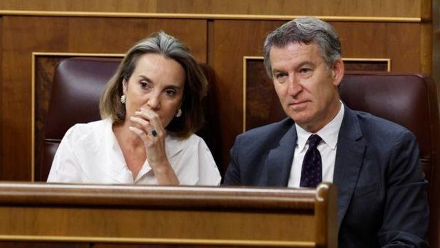 Alberto Núñez Feijóo observa Pedro Sánchez, que respon les seves preguntes al Congrés (Efe)