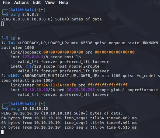 Image of a terminal windows split top and bottom. The top half is trying to ping 8.8.8.8 and failing. The bottom half is showing the output of the command "ip a" and there is an active ping for an address in the local network.