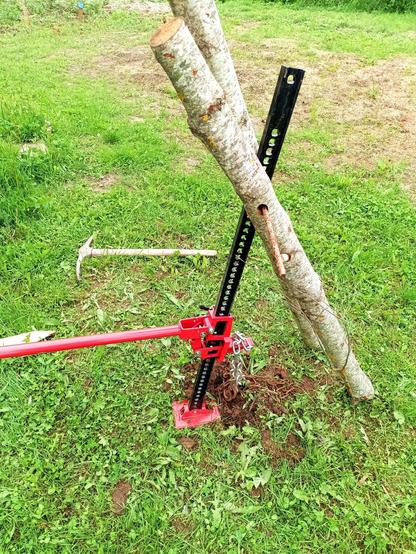 A red and black farm jack with two logs that have a hole drilled through and a steel bar shoved through as counter support. It's attached by chain to something in the ground. A pickaxe lays on the grass behind.