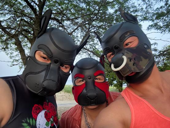 Three pup friends pose together outdoors beneath leafy green trees, enjoying the fresh air. The person on the right wears a striking black neoprene puppy hood with upright ears and a camouflage-patterned snout, accented by a bold white ring. He pairs the playful hood with a sleeveless coral tank top, giving a relaxed summer vibe. In the center, a figure stands out in a salmon-pink button-up shirt and a chunky chain necklace, adding a touch of flair to the group. They sport a black/red hood with an open mouth design. Next to them, another figure in black puppy hood wears a black sleeveless shirt featuring a vivid graphic of red roses against a white moon, adding a touch of bold style to the scene. The group’s playful spirit is highlighted by their creative gear and the casual, joyful energy of their gathering, set against a backdrop of sandy ground and lush branches reaching into a soft sky.

#PuppyPlay #NeopreneHood #BeachVibes #LeatherGear #SummerFun #ALT #FriendsOutdoors
