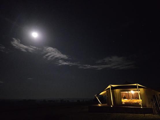 tent under night sky