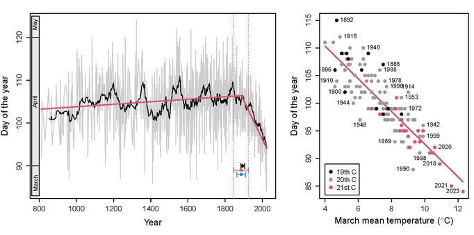 Graphic showing phenology changes for the Japanese cherry tree (Prunus jamasakura) in Kyoto. Left: Day of the year of the flowering peak for the period between 812 and 2024. Right: Relation between March mean air temperature (°C) in Kyoto and the day of the year of the Japanese cherry tree peak flowering for the period between 1890 and 2024.