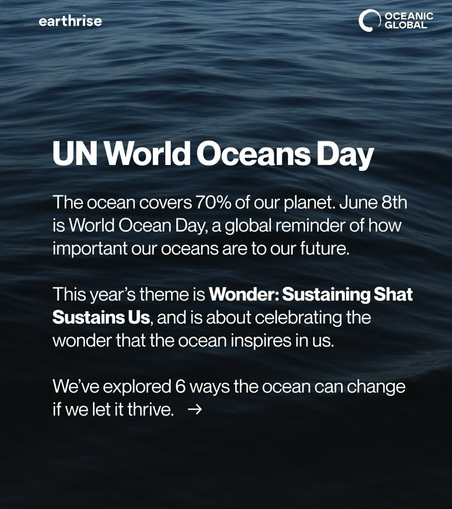 UN world oceans day - the ocean covers 70% of our planet. June 8th is world ocean day, a global reminder of how important our oceans are to our future. This year’s theme is wonder: sustaining what sustains us, and is about celebrating the wonder that the ocean inspires in us.  - white letters on a background of dark waves, by Earth Rise and Oceanic Global