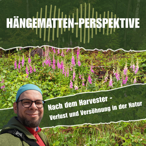 Portrait eines lächelnden Mannes mit Brille, blauem Stirnband und grünem Outdoor-Pullover vor einer Waldlichtung mit blühendem Fingerhut in Rosa und Weiß. Im oberen Bildteil steht in weißer Schrift: „Hängematten-Perspektive“, dahinter stilisierte Klangwellen auf dunklem Hintergrund. Unten rechts der Episodentitel: „Nach dem Harvester – Verlust und Versöhnung in der Natur“.