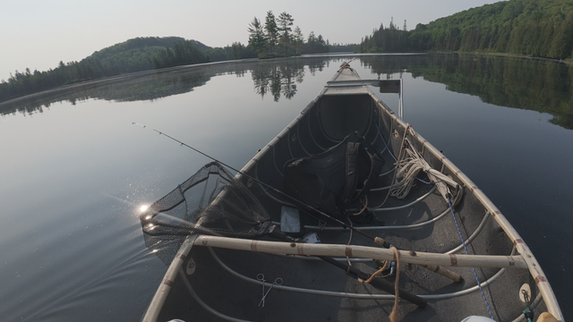 Heard a strange noise while fishing…