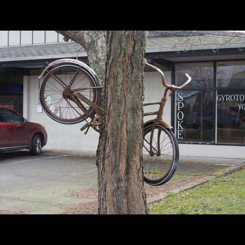 Photo by Neil E. Hodges on March 12, 2021. May be an image of bicycle, outdoors, tree and text that says '一 GYROTO YO'.