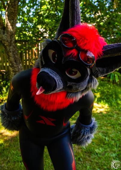 Photo of Kofi bat in fursuit partial and wearing a black and red Xterra wetsuit leaning in and peering towards the camera