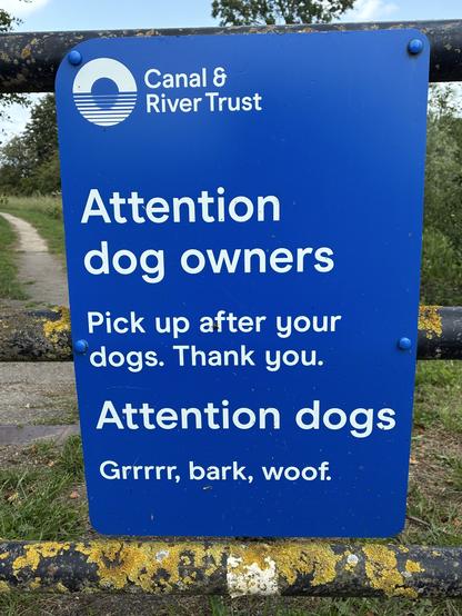 Dogs!!!