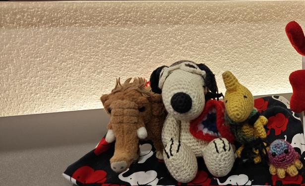 Manni, Snoopy, Woodstock, Squichy und Smok auf der Ablage im Friseursalon