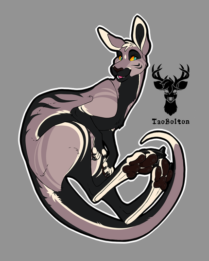 A purple-grey kangaroo with orange scalera and unusual markings