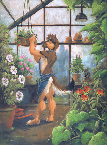 The scene is set inside a glass greenhouse. It's raining outside and water drops are trickling down the glass. A male anthropomorphic german shepherd dog in a gardener's apron is tending to a hanging pot of strawberry plants. He is surrounded by many other lush plants, including a passiflora in flower, basil, cucumber, dog roses and succulent plants.
