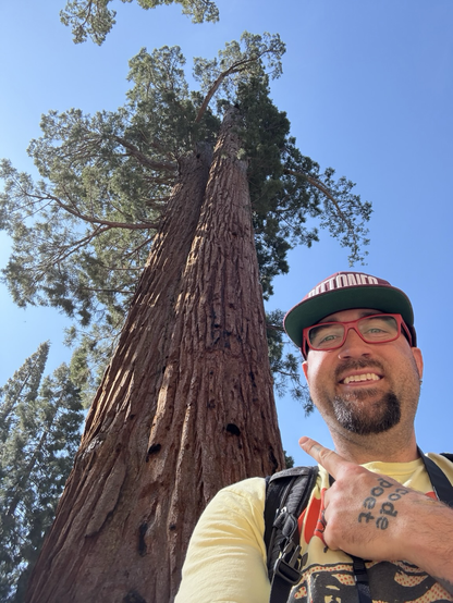 The faithful couple sequoia in Yosemite.