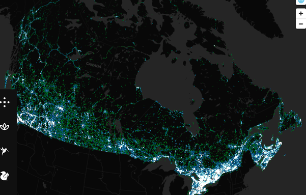 Map of Canada showing areas with most iNaturalist observations; as you might expect it pretty much mirrors a map of Canada's population