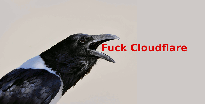 A hooded crow that appears to be yelling "Fuck Cloudflare"