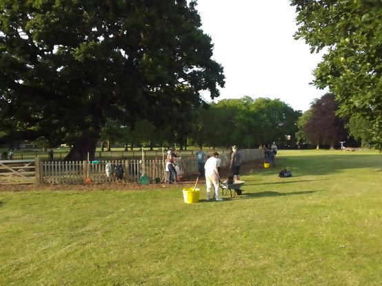 Volunteers surrounding the fence around the oak extending the mulch line two metres beyond the fence line.
