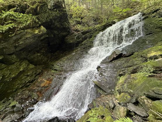 Big Dog falls or at least part if it, they seemed to go on forever and/or I wasn’t sure where to stop. Lots of craggy rocks sporting moss and other growths, water coming down a wide shelf of stone