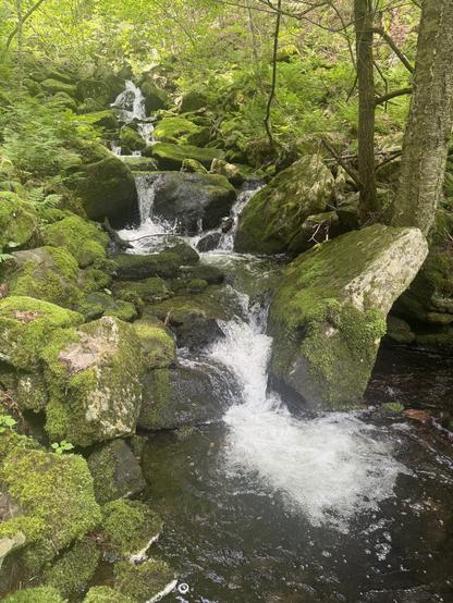 Smaller falls along the trail through very green forest