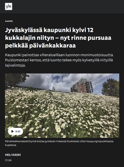 Jyväskylässä kaupunki kylvi 12 kukkalajin niityn – nyt rinne pursuaa pelkkää päivänkakkaraa

­Kaupunki painottaa viheralueillaan luonnon monimuotoisuutta. Puistomestari kertoo, että luonto tekee myös kylvetyillä niityillä lajivalintoja.
Esikatselukuva: Päivänkakkaroiden peittämä rinne

Kuvateksti: Päivänkakkarakeskittymä loistaa jyrkässä rinteessä Kuokkalan sillan kaupunginpuoleisessa kupeessa.

YLE 2025-0611