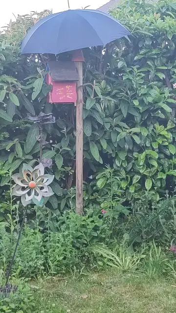 Ein Nistkasten an einem Holzpfahl zwischen Blumen vor einer Gartenhecke. Über dem Nistkasten ist als Sonnenschutz ein Schirm angebracht.