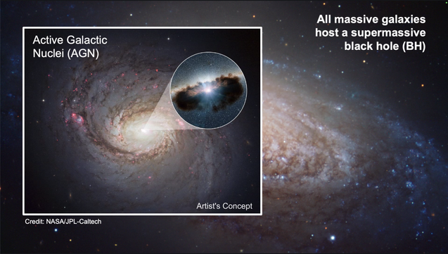 All massive galaxies host a supermassive black hole (BH).
Artist's concept of an Active Galactic Nuclei (AGN), an image of a face-on spiral galaxy with a pullout showing a bright point surrounded by a dusty torus.