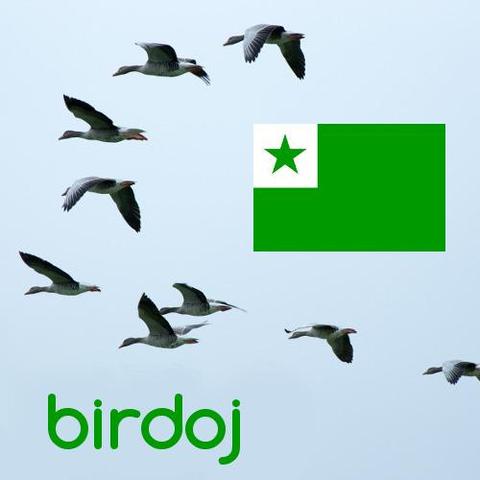 birdoj