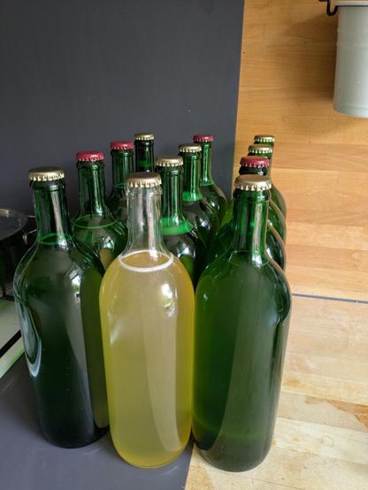12 Flaschen mit Sirup darin. 11 Flaschen sind aus grünem Buntglas, eine Flasche ist weiß. Sie stehen in der Küche.